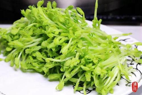 潮汕小豆苗爆料视频,揭秘潮汕美食背后的故事 第3张 潮汕小豆苗爆料视频,揭秘潮汕美食背后的故事 第3张